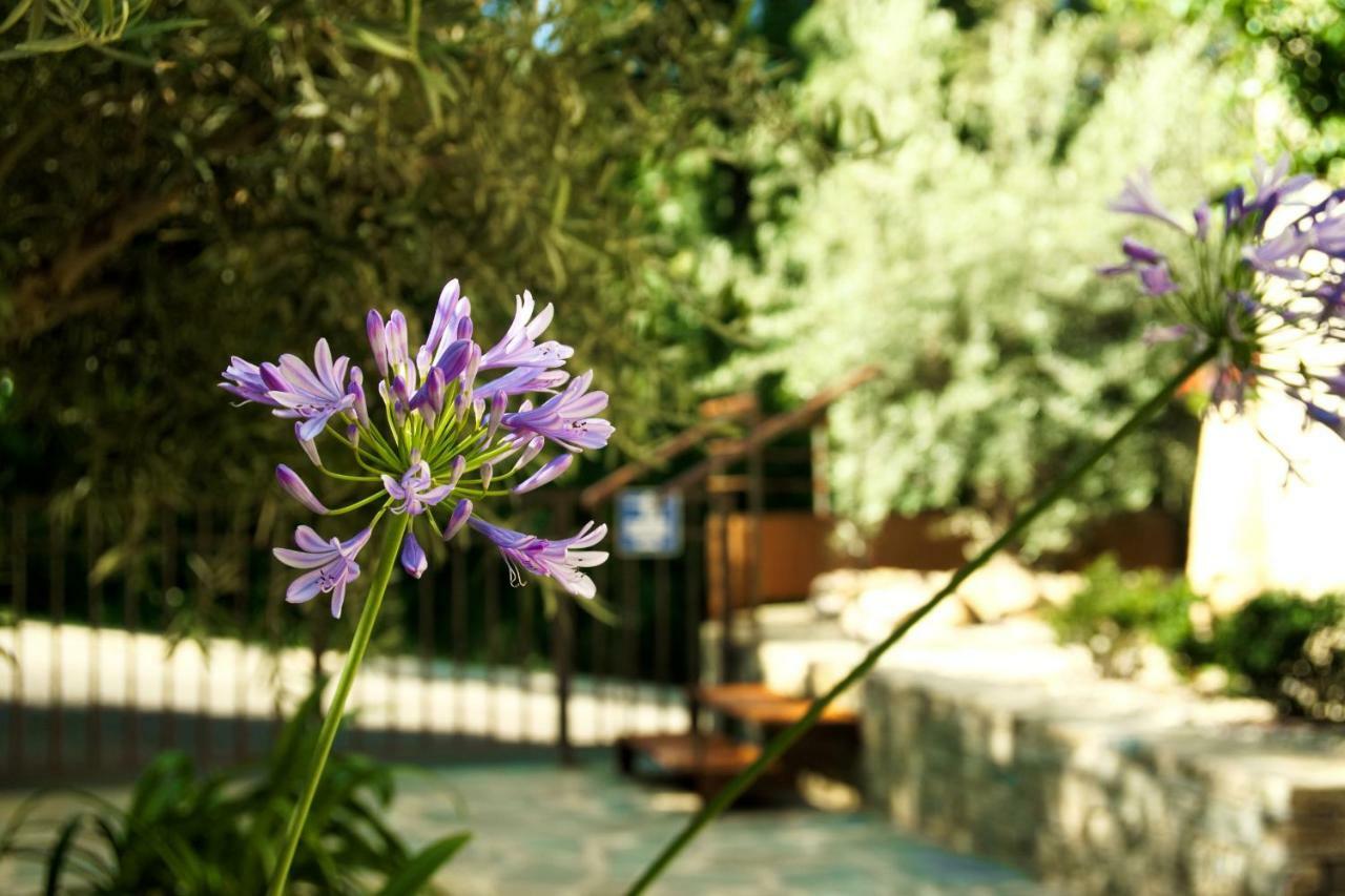 Suites In Erbalunga Ербалунга Екстериор снимка